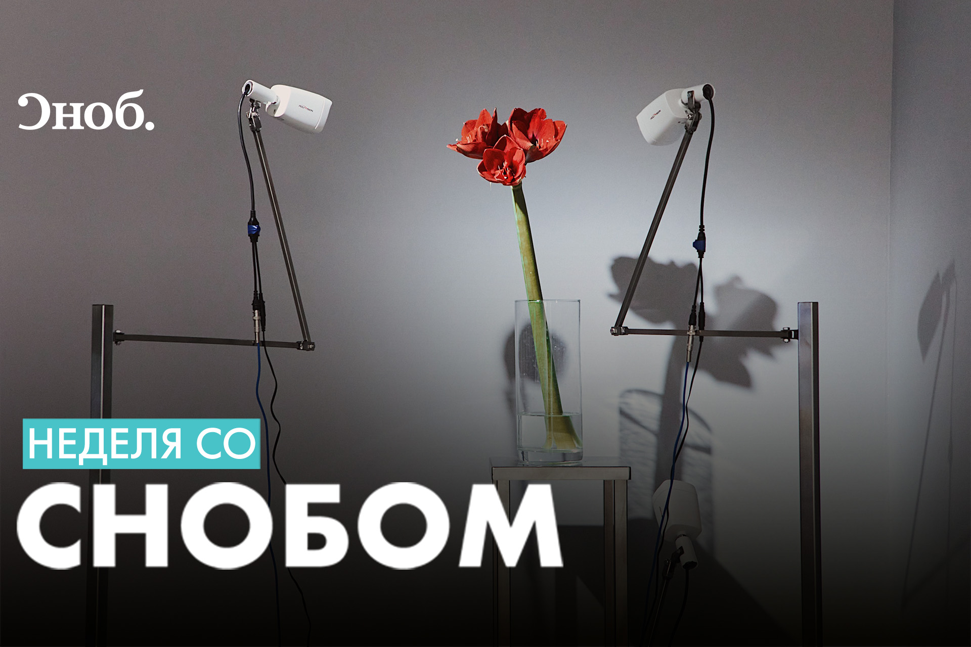 Чем заняться в Москве и Санкт-Петербурге 18–24 июня. Неделя со «Снобом» - Сноб